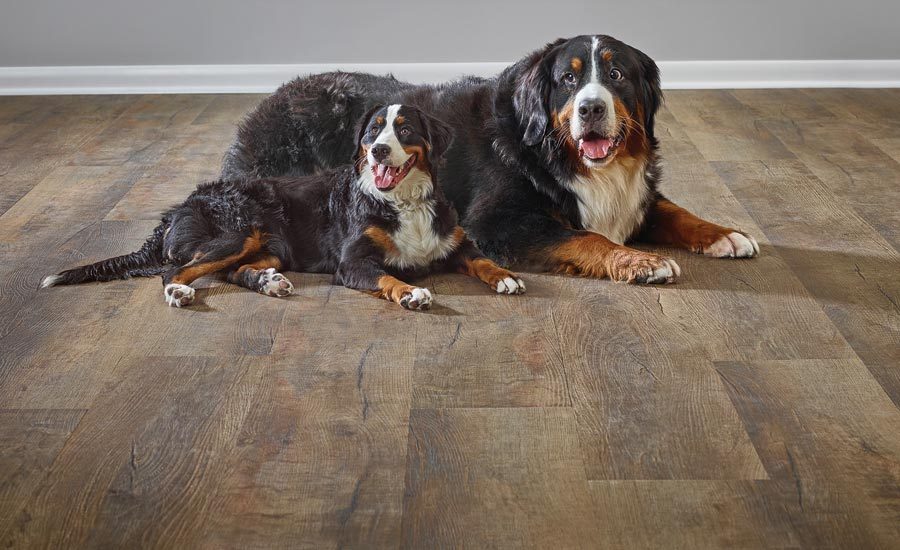 Best Pet-Friendly Flooring for DFW Families: 2026 Buyer's Guide